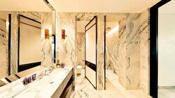 The Ritz-Carlton  (D9), Condominium #543951041